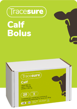Calf bolus pack shot