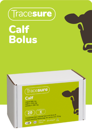 Tracesure Calf with Copper® - for kalv
