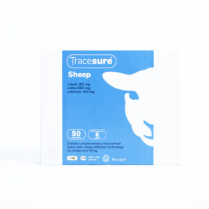 Tracesure Sheep (50 stk)