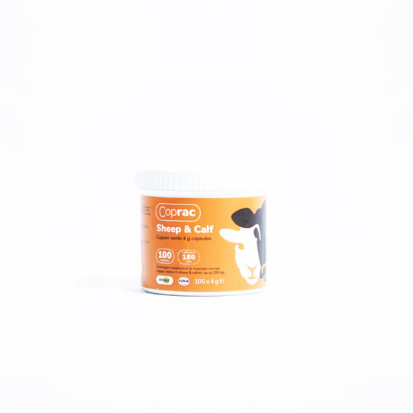 Coprac Sheep & Calf - Med kobber
