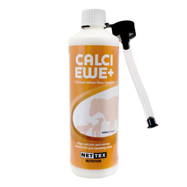 Calci Ewe+