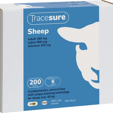 PR4237 TS-Sheep-200 no background