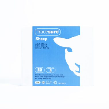 Tracesure-Sheep